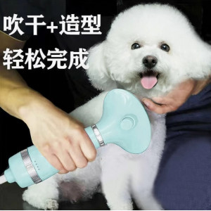 宠物吹风梳机拉毛一体猫狗吹毛神器洗澡烘干小型犬猫梳毛专用
