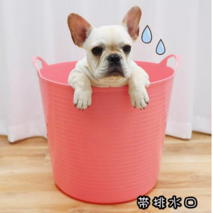 狗狗猫咪洗澡神器泰迪金毛清洁用品宠物洗澡盆猫狗药浴专用泡澡桶