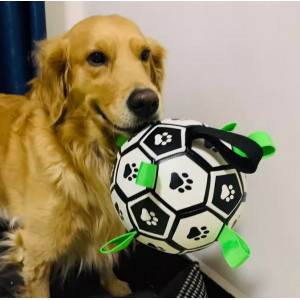 狗狗玩具球耐咬磨牙边牧拉布拉多马犬柯基狗咬铃铛球足球宠物用品