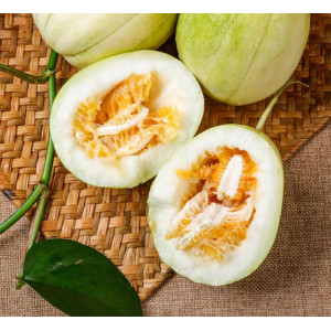 东北小香瓜、现摘当季甜瓜、蜜瓜脆瓜