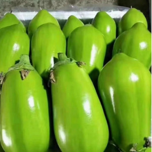 东北新鲜蔬菜绿茄子农家自种
