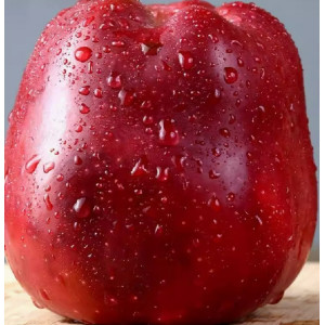 花牛苹果甘肃天水10斤新鲜水果当季整箱红蛇果孕妇应粉面批发刮泥