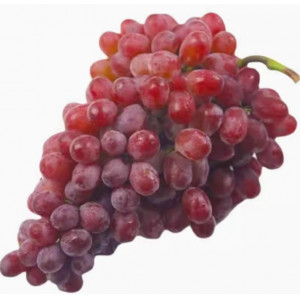 茉莉香葡萄当季新鲜水果