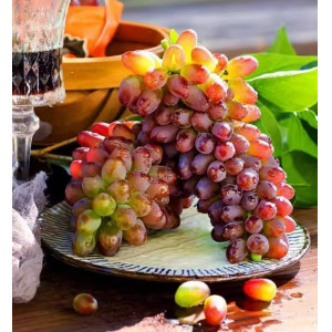 茉莉香葡萄当季新鲜水果