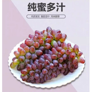 茉莉香葡萄当季新鲜水果