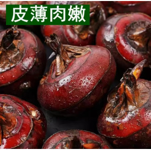 特大果农家现挖清水马蹄荸荠水果新鲜蔬菜地梨地栗马蹄