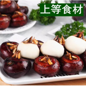 特大果农家现挖清水马蹄荸荠水果新鲜蔬菜地梨地栗马蹄