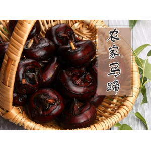 特大果农家现挖清水马蹄荸荠水果新鲜蔬菜地梨地栗马蹄