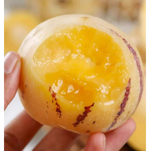 现货云南石林人参果