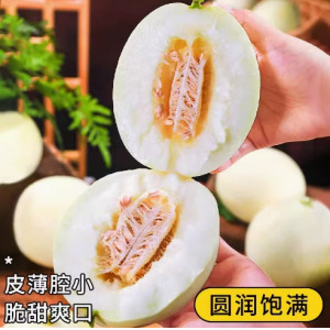 现摘陕西阎良甜瓜白皮蜜瓜当季新鲜水果
