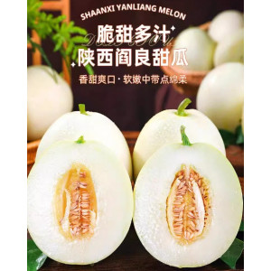 现摘陕西阎良甜瓜白皮蜜瓜当季新鲜水果