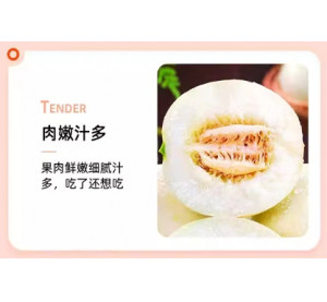 现摘陕西阎良甜瓜白皮蜜瓜当季新鲜水果