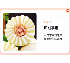 现摘陕西阎良甜瓜白皮蜜瓜当季新鲜水果