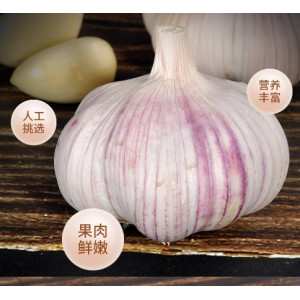 新干蒜大蒜头紫白皮干蒜食用调味