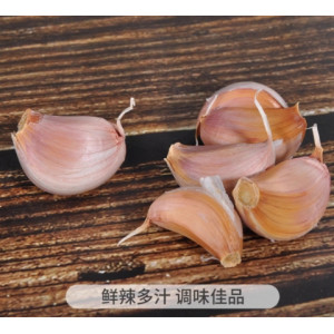 新干蒜大蒜头紫白皮干蒜食用调味