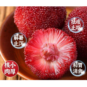 杨梅新鲜现摘应季孕妇批发东魁特大杨梅早梅荸荠