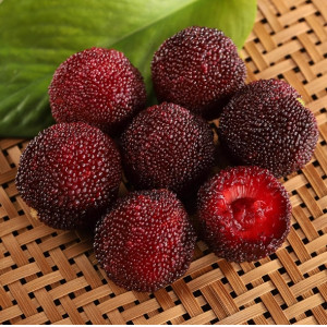 杨梅新鲜现摘应季孕妇批发东魁特大杨梅早梅荸荠