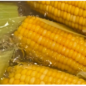 云南水果玉米甜玉米