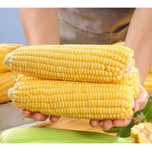 云南水果玉米甜玉米
